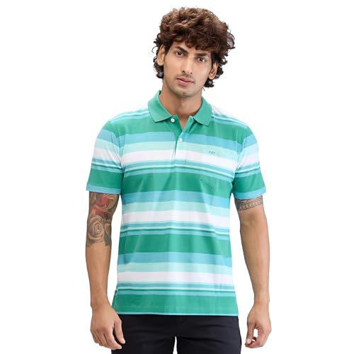 Image of Colorplus Men's Classic Fit Stripe Pattern Pure Cotton Half Sleeve Polo Neck Casual T-Shirt