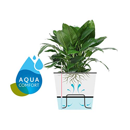 Emsa 5955260000 Ricambio in Tessuto Non Tessuto