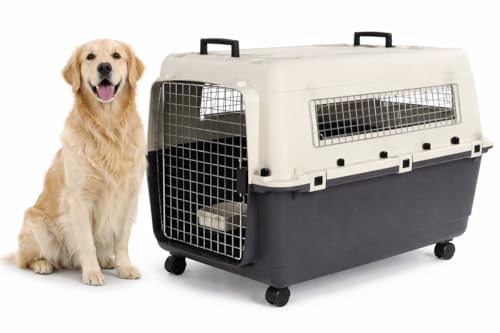 Cage pour Chien - Cage de Transport Chien - Flamingo Fomad Gris foncé - XL 60 x 90 x 68,5 cm - Plastique Robuste - Porte métallique - verrou de sécurité -...