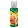 Seramis Vitalnahrung für Kakteen und Sukkulenten, 200 ml – Pflanzendünger für optimales Wachstum, Flüssigdünger mit praktischer Dosierhilfe