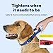 PetSafe Martingale Collar with Quick-Snap Buckle - Adjustable No-Slip Quick Release Dog Collar - Everyday Wear No-Pull Training Aid - 3/4