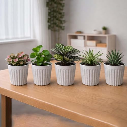 Image of Go Hooked 6 Inch Plastic Plant Pot Set of 5 | White Marble Texture Ribbed Planters, Stylish Modern Design | Decorative Indoor Outdoor Flower Pots for Balcony, Living Room, Garden, Home & Office Decor