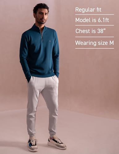 Image of DAMENSCH Mens Solid Regular Fit Microfibre Elastane Full Sleeve Half Zip Statement Elemental Sweatshirt Comfortable Casual Wear Half-Zip Sweatshirt