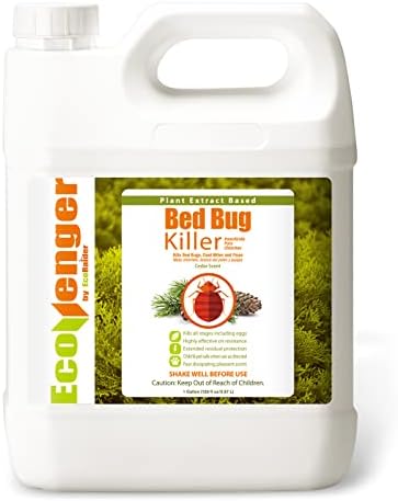 EcoRaider Bed Bug Killer Spray 1 Gallon Jug, Green + Non-Toxic, 100% Kill + Extended Protection