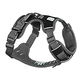 Embark Adventure Dog Harness Medium Size, Easy On and Off with Front and Back Leash Attachment Points & Control Handle - No Pull Training, Size Adjustable and No Choke (Large - Black)