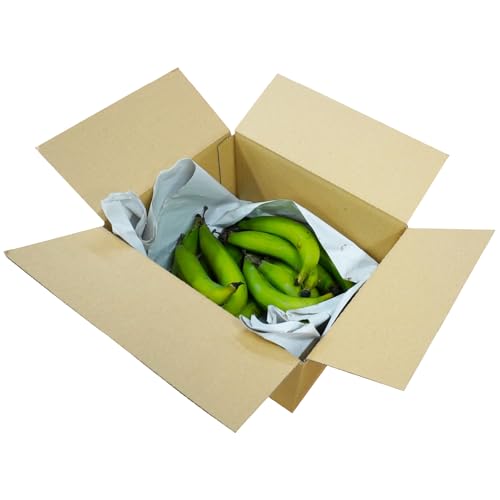 グリーンバナナ(ななばなな)1kg