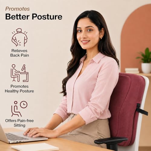 Image of Aasan Lumbar Support Pillow for Office Chair & Car Seat, Maroon | Ergonomic Back Support Cushion, Lower & Upper Back Pain Relief, Spine & Waist Support, For Long Sitting