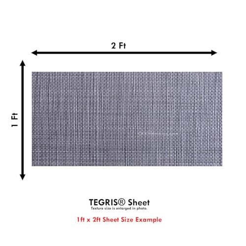 Image of TEGRIS Thermoplastic Composite Sheet - (12 x 24 in.) - (Silver /Gray) - (6 Layer /.030) - Impact Resistant Material for Holster Making, DIY Gear, & Hobby - (USA Made)