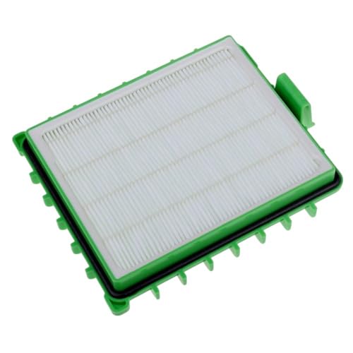 Filtre HEPA vert Rowenta RS-RT3157 filtration haute efficacité