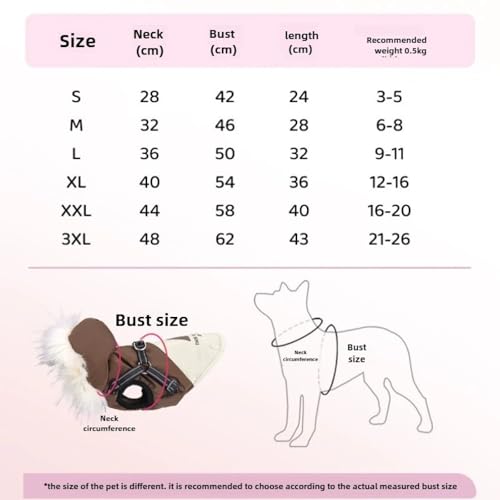Doudoune imperméable bleue pour caniche et bouledogue taille S - 3