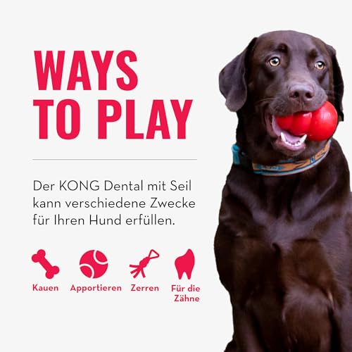 KONG Dental mit Seil - Für die Zahnpflege von Hunden - Befüllbares Kauspielzeug - Reinigt Zähne und Zahnfleisch - Für Kleine Hunde