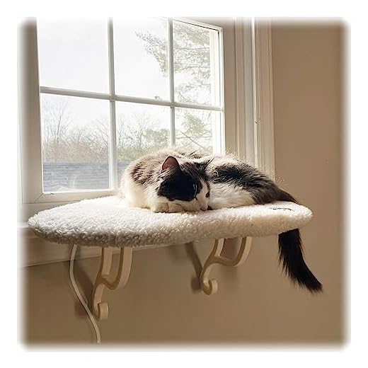 Heated Orthopedic Cat Window Perch