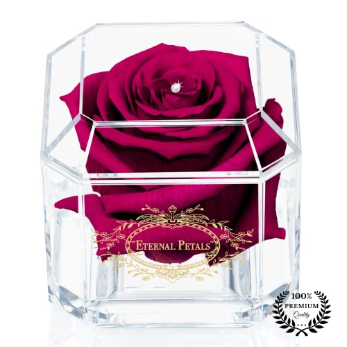 A 100% Real Rose That Lasts Years - Eternal Petals, Handmade in UK - Gold Solo with A Clear Crystal (Cherry)