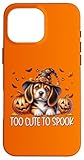 Photo Gallery halloween dog witch beagle puppy is too cute to spook custodia per iphone 16 pro max Photo Gallery halloween dog witch beagle puppy is too cute to spook custodia per iphone 16 pro max