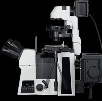 RAYSCOPE - Inverted Fluorescent Research Microscope - (Code : RYS-60-FL)