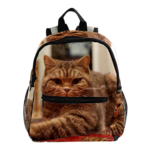 Sac à dos chat léger de 30,5 cm pour ranger toutes ses affaires