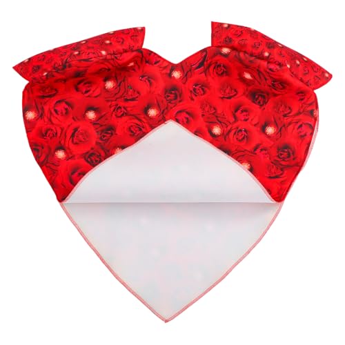 Robe de cosplay de cœur femme : déguisement polyvalent pour fêtes et spectacles