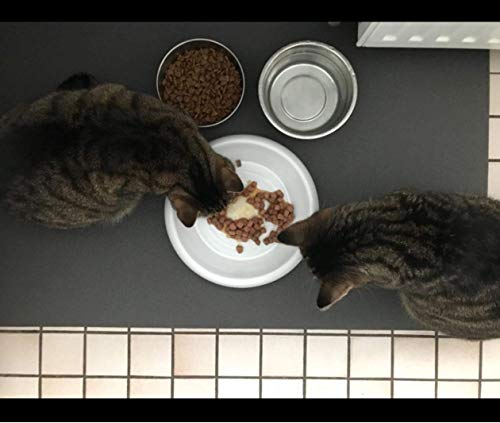 SanoZoo® Napfunterlage - Öko-TEX - Made in Germany - rutschfeste Futtermatte für Hunde & Katzen 30x40cm Hellgrau, wasserfest - Image 6