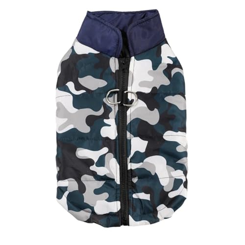 hvgʃybggI[o[I[ D Om[X[uČpO`[NV[xXgWPbg,B,XS