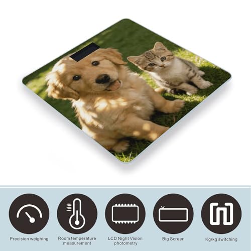 Báscula digital para baño con pantalla LED y vidrio templado miniatura 3