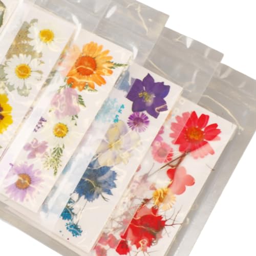 Kit de flores prensadas variedad para manualidades miniatura 7