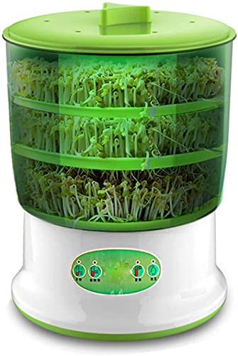 Machine à germes de soja automatique grand modèle appareil graines