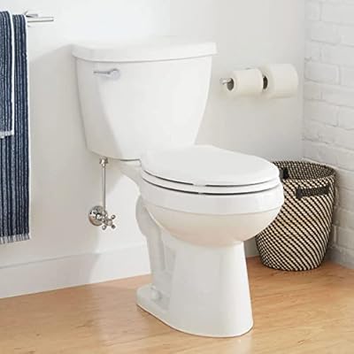 Signature Hardware 462387 Bradenton 1.28 GPF Two Piece Round Toilet with 14" Rough-In - White