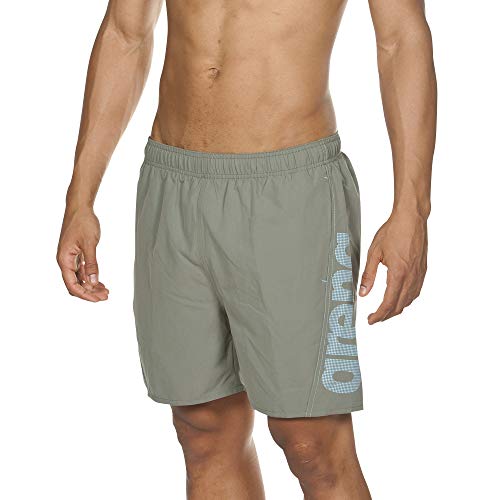 Arena Fundamentals Logo Short are Classici