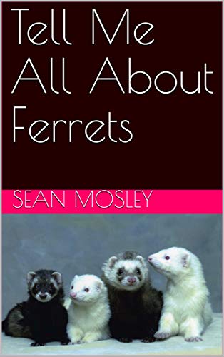 all about ferrets
