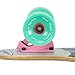 New Olym 41'' Longboard Skateboard 8 Layer Canadian Maple Drop Through Longboards for Youths Beginners, Dinosaur