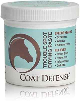 COAT DEFENSE Trouble Spot Drying Paste for Horses - Natural Equine Wound Care That Provides Safe & Effective Relief from Scratches, Sweet Itch, Summer Sores, Proud Flesh, Mud Fever, Girth Rot (10 Oz)