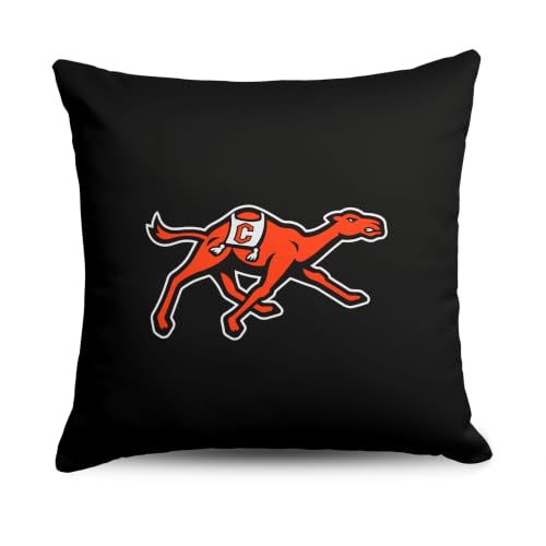 Northwest NCAA Campbell Fighting Camels Logo Double-Sided Printed Throw Pillow, Soft Decorative Polyester Fan Cushion, Couch Bed or Game Room Decor, 18 x 18 in