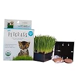 Mini Organic Pet Grass Kit - Grow Wheatgrass for Pets: Dog, Cat, Bird, Rabbit, More - Includes Trays, Soil, Wheat Grass Seeds, Instructions by Wheatgrass Kits