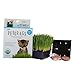 Mini Organic Pet Grass Kit - Grow Wheatgrass for Pets: Dog, Cat, Bird, Rabbit, More - Includes Trays, Soil, Wheat Grass Seeds, Instructions by Wheatgrass Kits