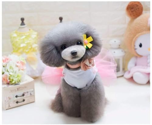 Hundekleid Welpenrock Hundeprinzessin Kleider Ballett Tutu Blume Hochzeit Spitze Luxus Bogen Kleid für kleine Hundemädchen L Pink