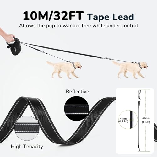 Pecute Hundeleine 10m, Verbesserte Kausichere Einziehbare Hundeleine, 360° Verhedderungsfreier Leinenverlängerung, Anti-Rutsch-Griff & Schnellbremsknopf, Geeignet für Hunde bis zu 50kg Gewicht