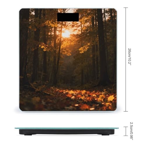 Báscula digital de baño Sunset Forest con pantalla LCD y base antideslizante miniatura 2