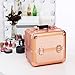Ovonni Professional Portable Small Makeup Train Case, Artist Lockable Aluminum Cosmetic Organizer Storage Box with Compartments (Rosegold 1)