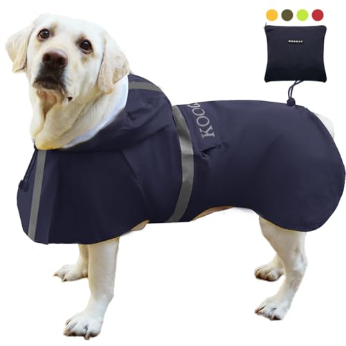 Do dogs like raincoats
