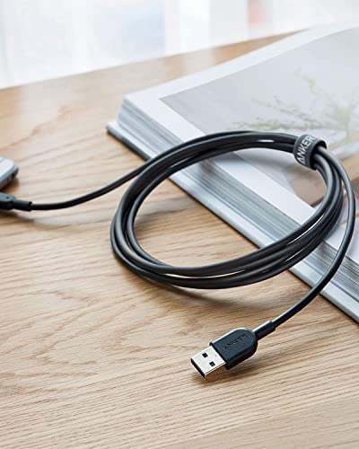 Image of Anker Powerline II Lightning Cable,Apple MFi Certified,USB Charging /Sync Lightning Cord Compatible with iPhone 11 Series /SE /Xs /XR,and More(6FT,Black)