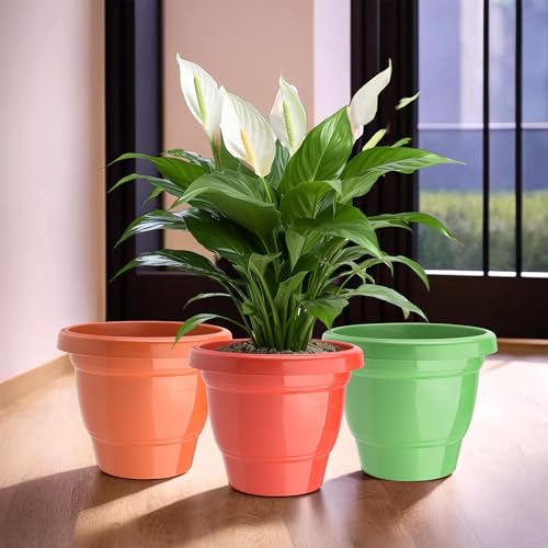 Image of Kuber Industries (Pack of 3) Flower Pot | 2-Layer Fuldani Flower Pot | (6 Inch) Pots for Terrace, Garden | Phooldaan for Home D?cor | Indoor Plant Stand | Plants Stand | Red-Green & Orange
