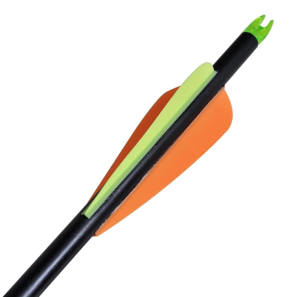 Genérico Frecce per Arco Composito Standard 12 pz 30" 0,8 cm Fibra Vetro,Multicolore,0.6kg,90855