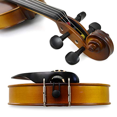 Professional Violin Beginner Full Size