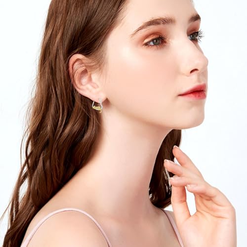 Hypoallergenic Earrings Rabbit Tiger Teddy Koala Puppy Panther Peacock Earrings Sterling Silver Animal Hug Hoop Earrings Jewelry Mothers Day Graduation Birthday Gifts for Women3