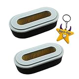 Race-Guy 2x Air Filter For Replaces OEM Part # 20A-32636-00 277-32606-18 277-32611-07 Ariens