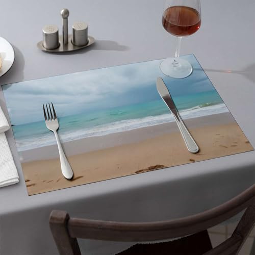Set de table en silicone lavable protège comptoir de cuisine lot - 2