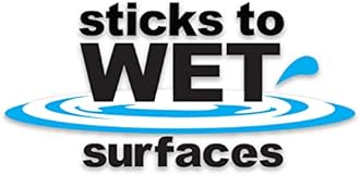 Sashco 14004 Gallon Clear Roof Sealant