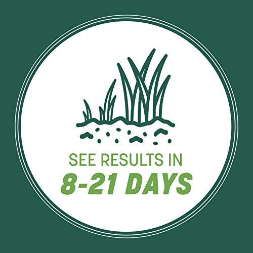 Pennington Smart Seed Southern Mix - Image 2
