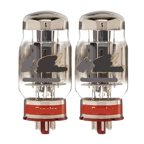 2 tubi a vuoto KT88 6550