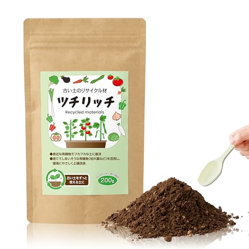 RCt ÂỹTCN c`b` 12Lv^[10 yǎ  K[fjO  {